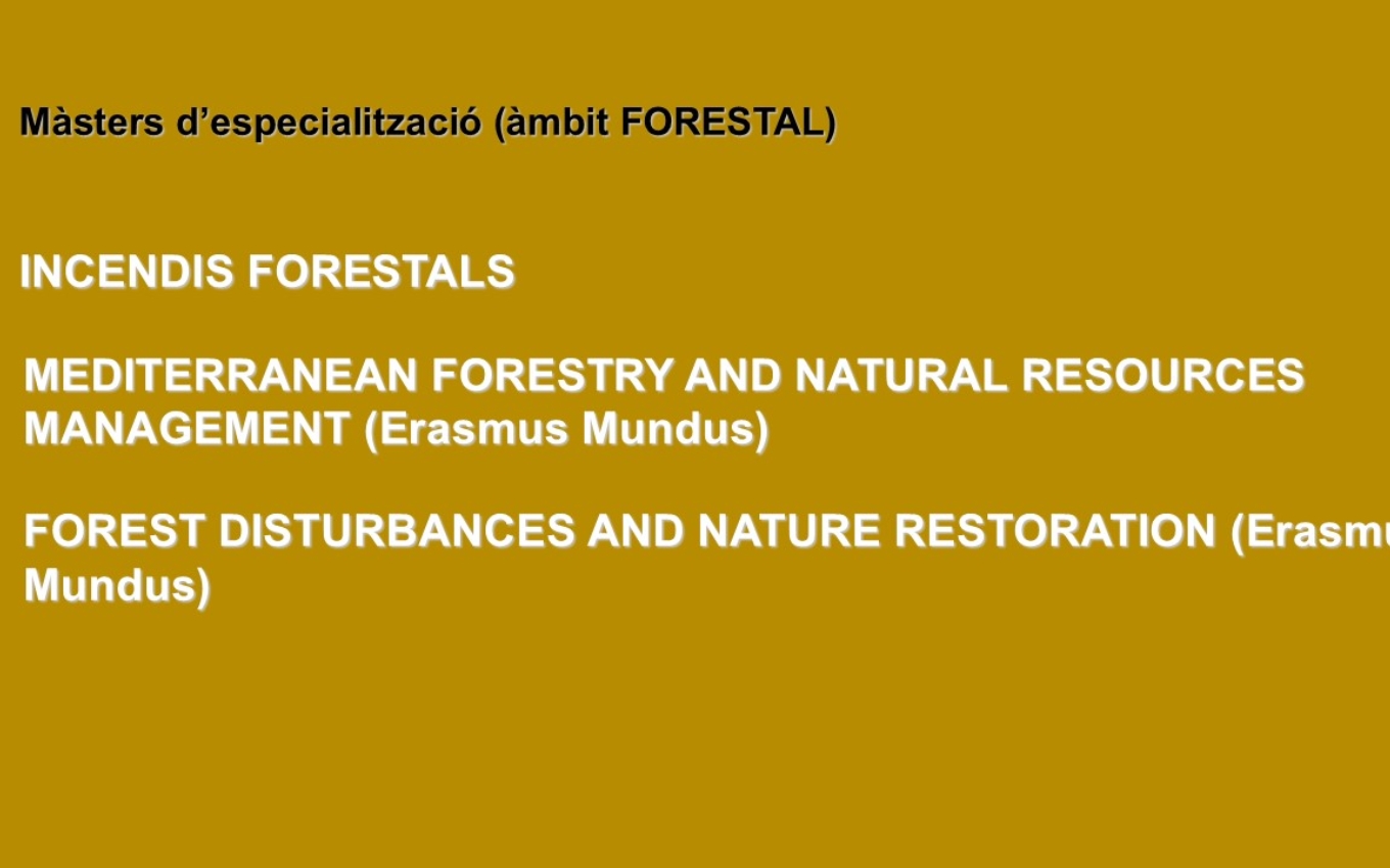 Màsters forestals