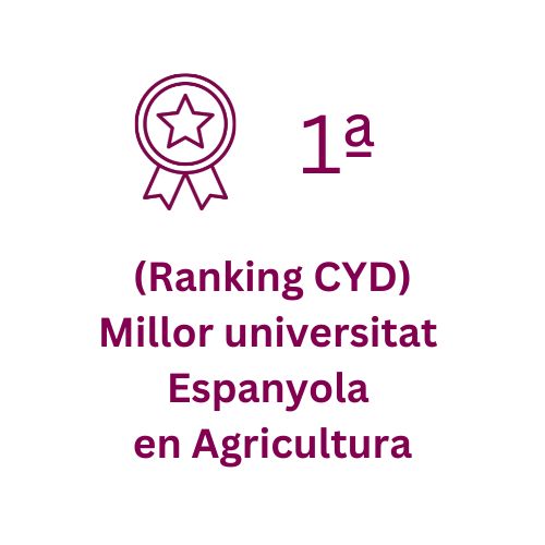 Ranking 1