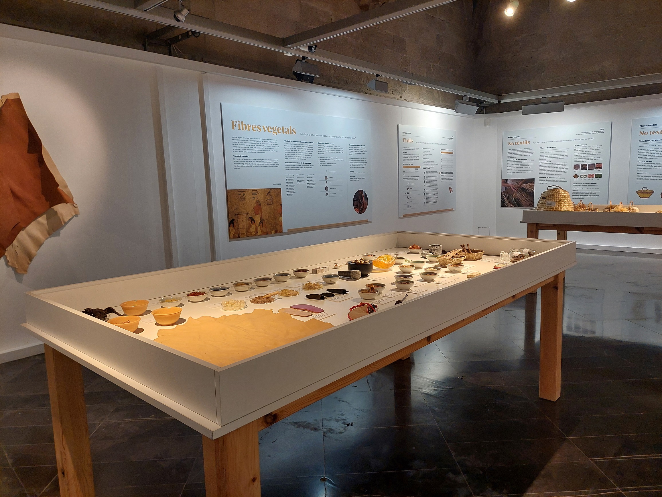 expo-vegetals-IEI