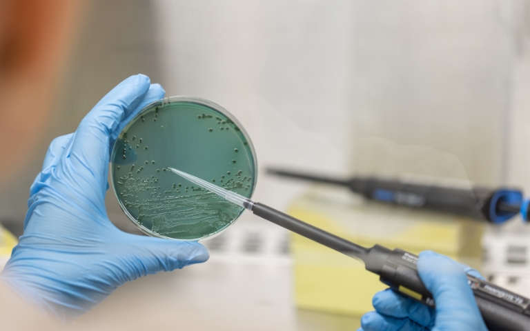 Agrotecnio-patogens-sucs2.jpg_513066471